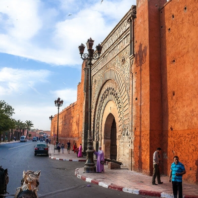 Photo Les jardins de Marrakech en calèche 
