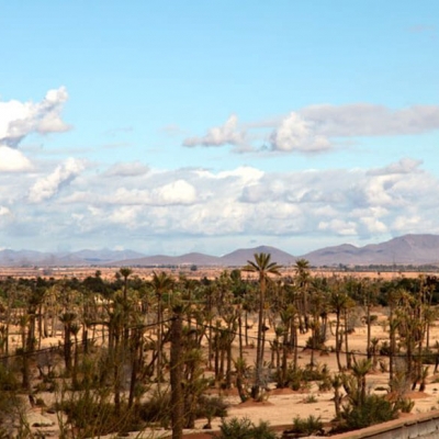 Photo Balades en chameau et quad au désert de la Palmeraie de Marrakech