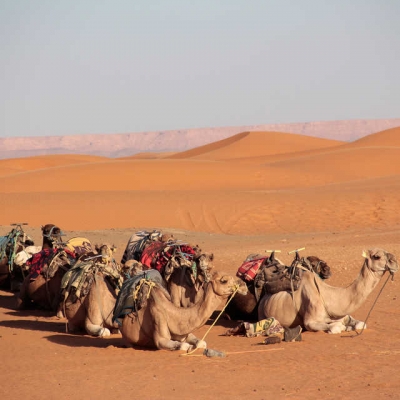 PhotoVoyage de 2 jours dans le désert depuis Marrakech