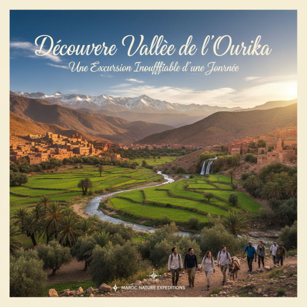 Découvrez la Vallée de l'Ourika : Une Excursion Inoubliable d'une Journée